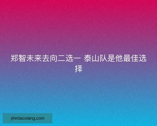 郑智未来去向二选一 泰山队是他最佳选择